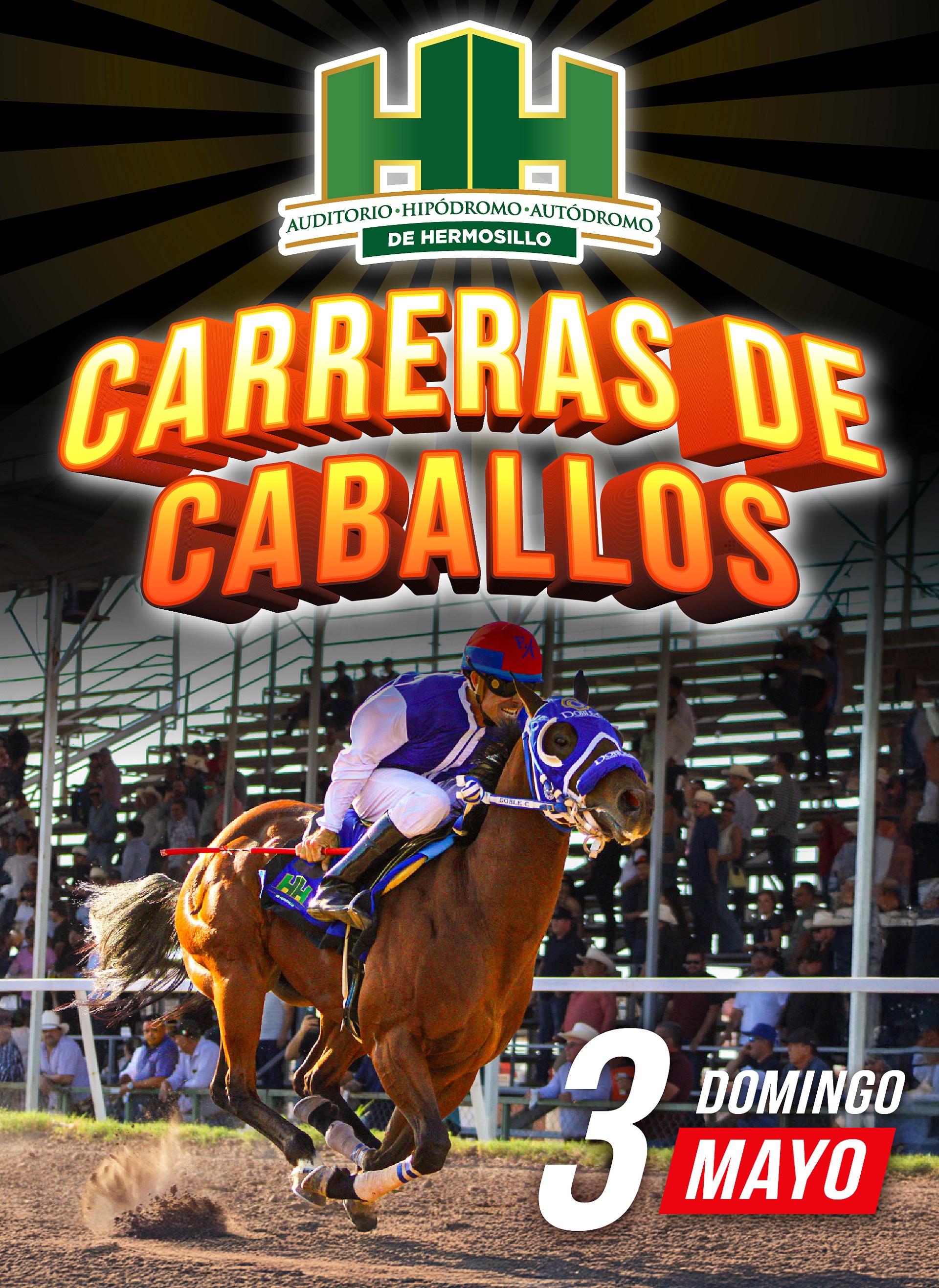 CARRERAS DE CABALLOS